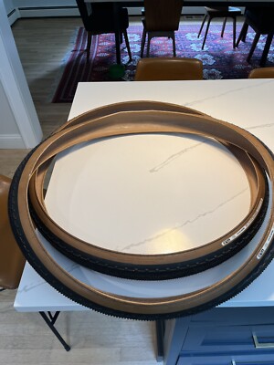 Panaracer GravelKing SK 700x38 Tubeless