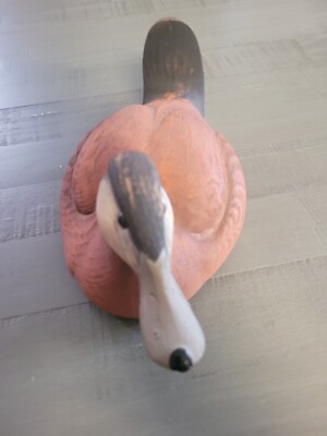 Ruddy Drake Duck Decoy By R Rogers  1/8/1986