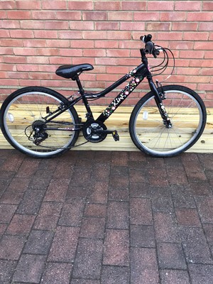 apollo kinx hybrid 24