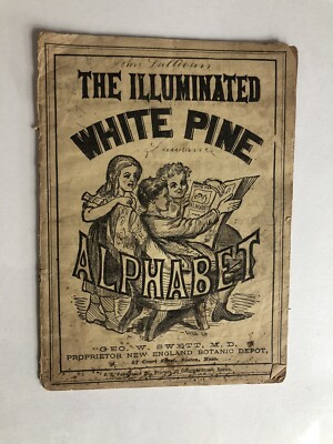 The illuminated White Pine Alphabet Book 1890