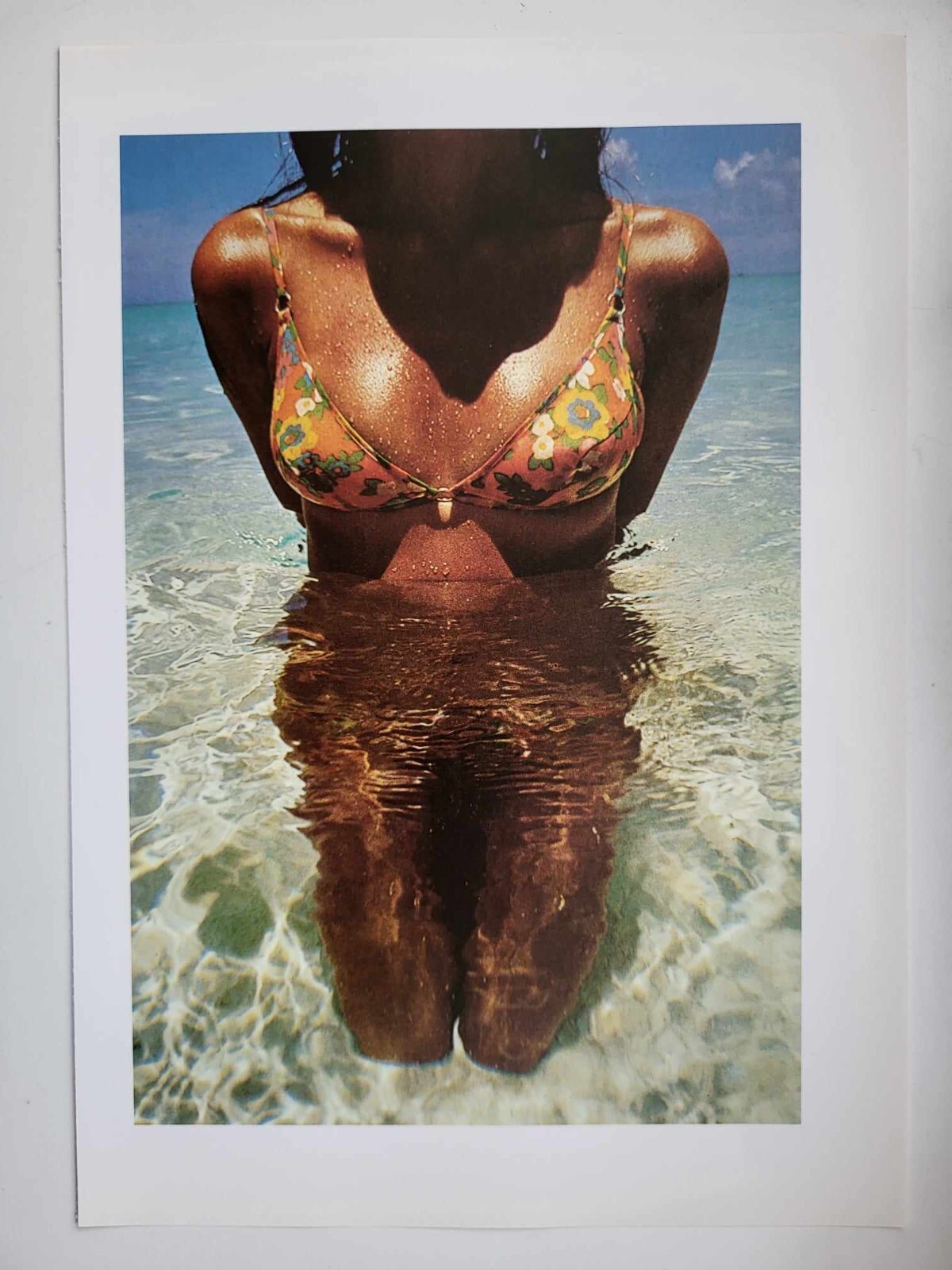 pirelli calendar classicis 写真集 Pirelli Calendar Classics 100 Photographs From The 1st 30