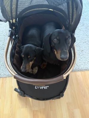 Artikelfoto(s) von einem verifizierten Käufer