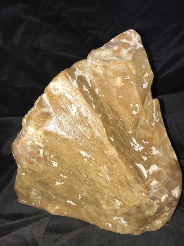 Petrified Wood Bookends Polished and Rough Face 7.5” Tall Rare 6” Wide Set