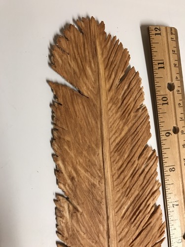 Hand Carved By DJE Basswood Feather VERY Detailed Turkey Oiled Fast Ship!