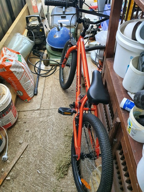 20 inch bike big w