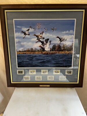 Midday Flight by David Maass Art Print Postal Commerative Society Framed 22.75''