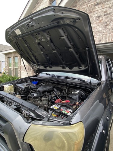 Artikelfoto(s) von einem verifizierten Käufer