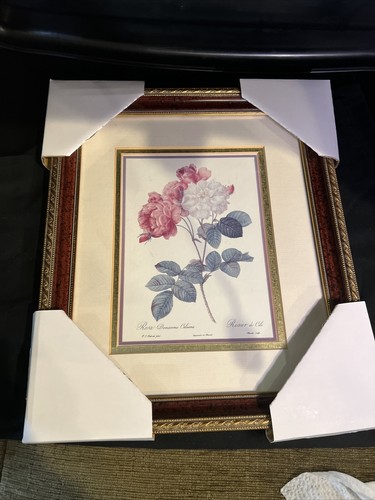 Roses Lithograph Rosa Damascena Rosier De Cels Pierre Joseph
