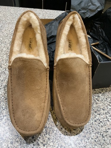 NEW!! UGG Men's Ascot Suede Slipper, Chestnut, SIZE 13, New In Box! 5775 M / CHE