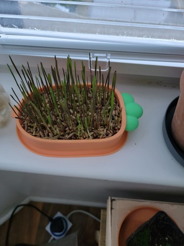 Fotos del artículo de un comprador verificado