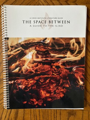 The Space Between A Guide to the Iliad by Andrew Kern and Brian Phillips