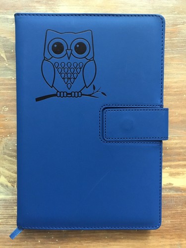 The Amazing Office - Owl Writing Journal | Faux Leather Cover, Magnetic Clasp