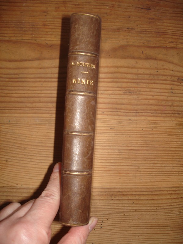 6563 Alexis Bouvier Ninie