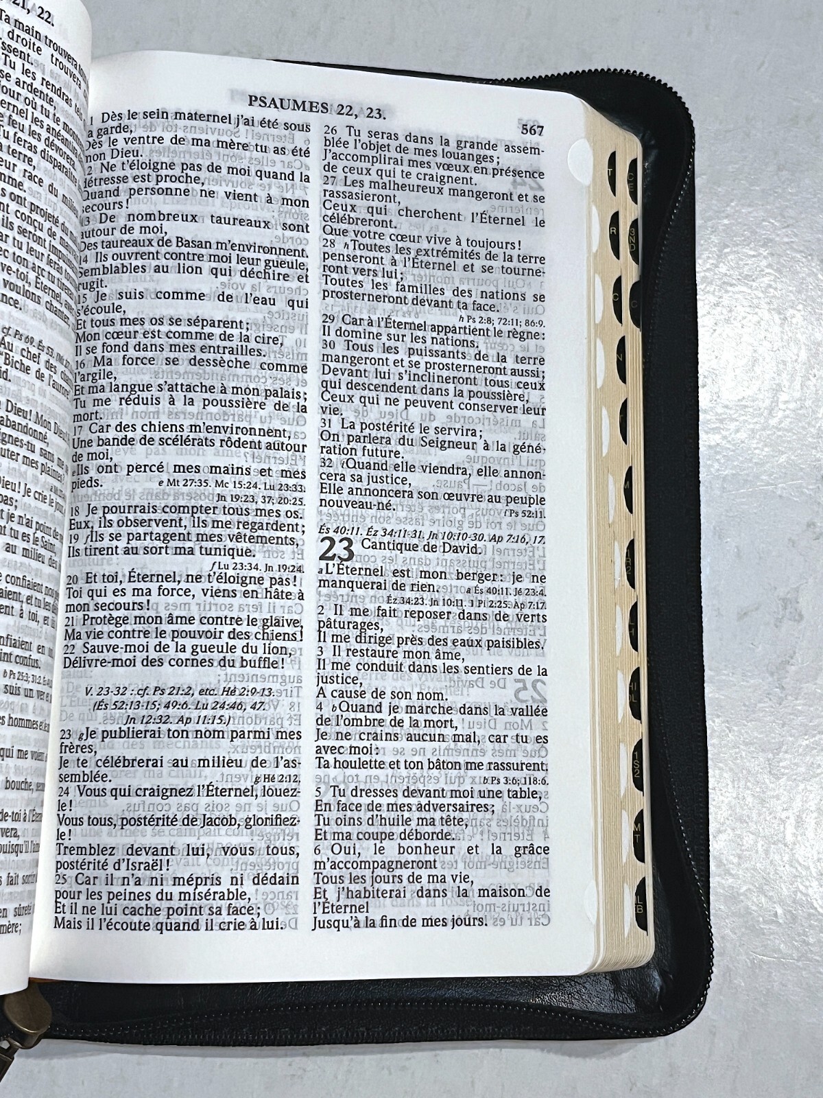 French Bible, La Sainte Bible - Segond 1910 Black Im Leather Zipper Red Letter