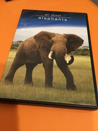 (未使用･未開封品)Africa&#39;s Elephant Kingdom [DVD] Amazon.com: Africa's Elephant Kingdom (Large Format) [DVD