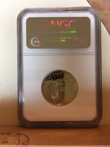 2003-S SACAGAWEA DOLLAR GRADED PF 69 NGC