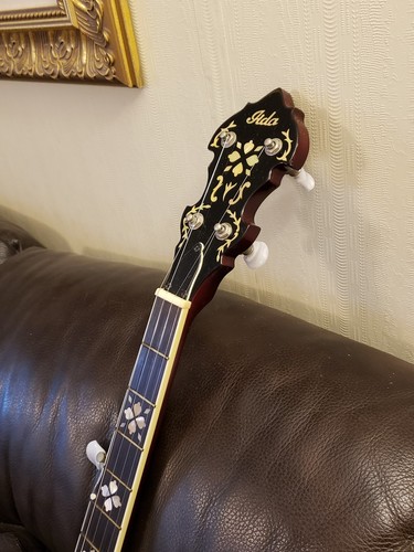 5 string banjos used