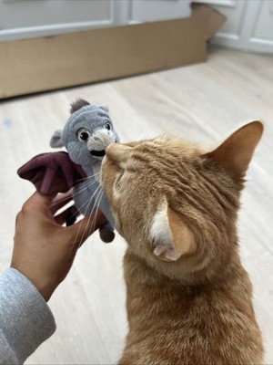 Objectfoto('s) van geverifieerde koper