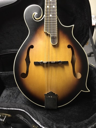 mandolin