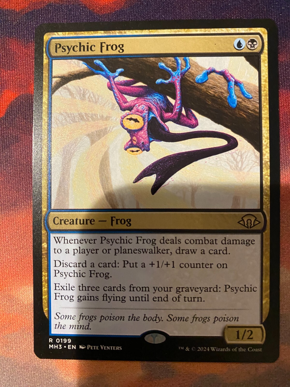 【MTG】超能力蛙/Psychic Frog 06101443_6666928eee696.jpg
