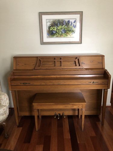 Yamaha M500 Upright Piano