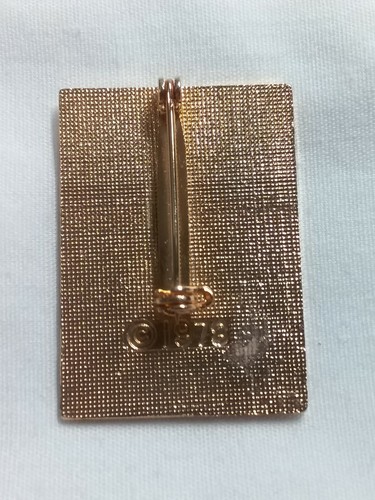 XIII Olympic Winter Games Lake Placid Pin 1980 Goldtone