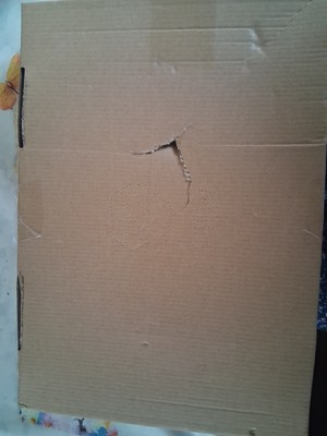 Artikelfoto(s) von einem verifizierten Käufer