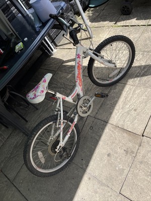 girls 20 inch wheel bike