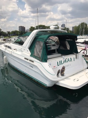 Sea Ray 280 Sundancer - Chicago IL (Montrose Harbor)