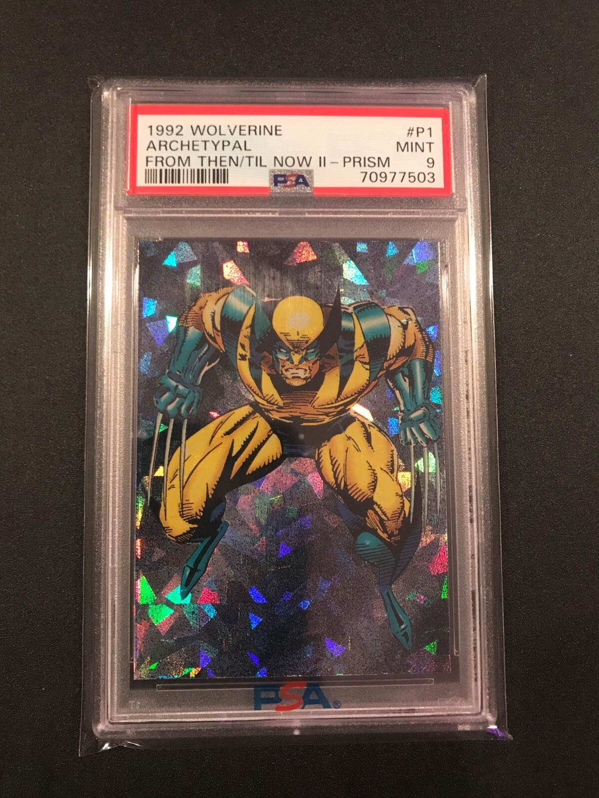 $_57.JPG?set_id=880000500F