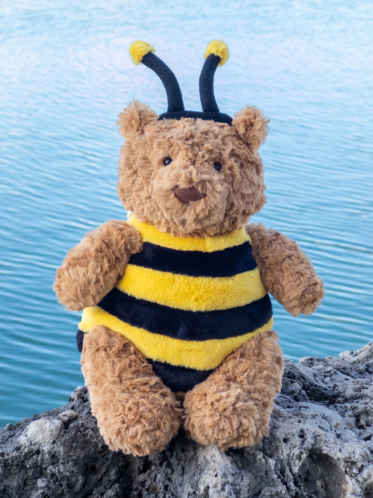 ぬいぐるみ  Bartholomew Bear 'Bumblebee' $_57.JPG?set_id=880000500F