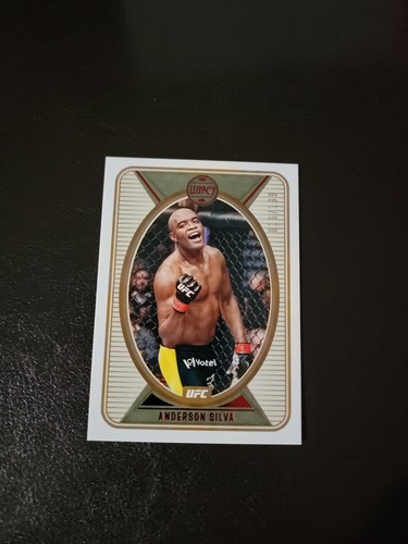 UFC ルアナ・ピニェーロ ルーキーカード 5シリ psa8 2025 Topps
