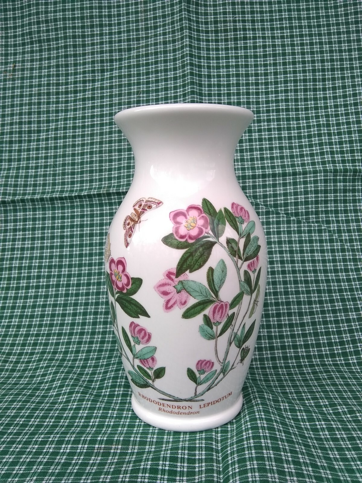 Rhododendron Lepidotum Portmeirion Botanic Garden Vase