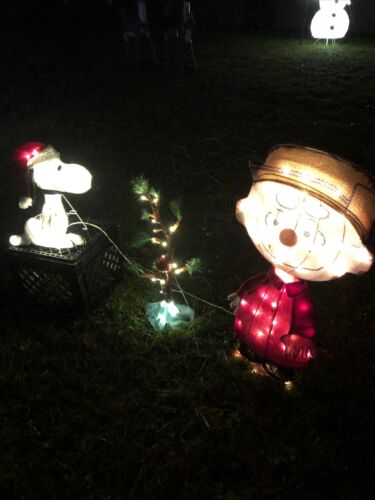 Charlie Brown, Snoopy & The Lonely Tree Lighted Outdoor Charlie Brown, Snoopy & The Lonely Tree Lighted Outdoor