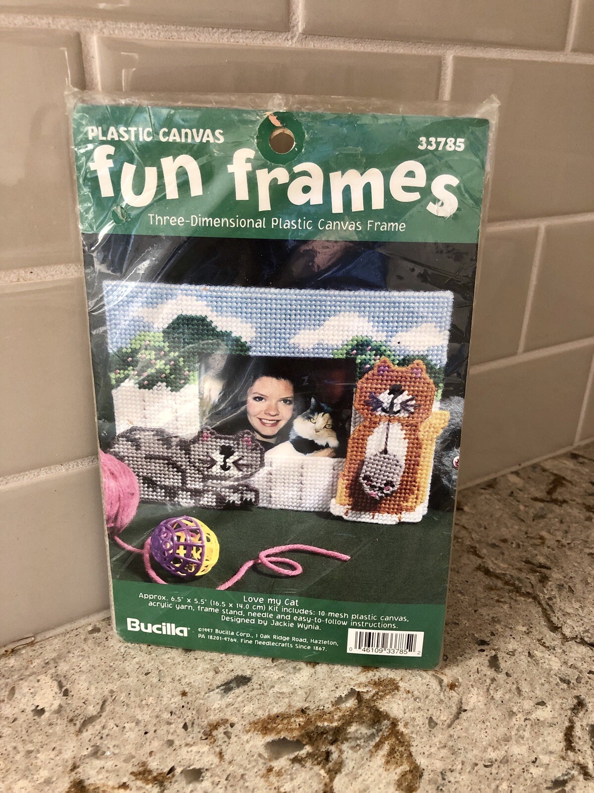 Bucilla Cat Fun Frames Plastic Canvas Kit Unopened Vintage