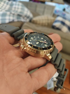 Citizen Eco-Drive Promaster Men's Gray Calendar Diver Watch