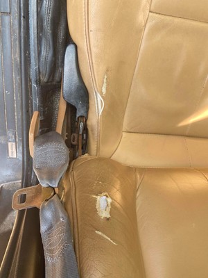 image 2 of interior