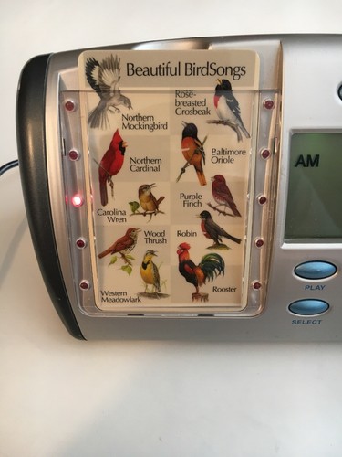 RARE CK-01 BIRDSONG IDENTIFLYER BIRD SONG IDENTIFIER + CARD ALARM CLOCK