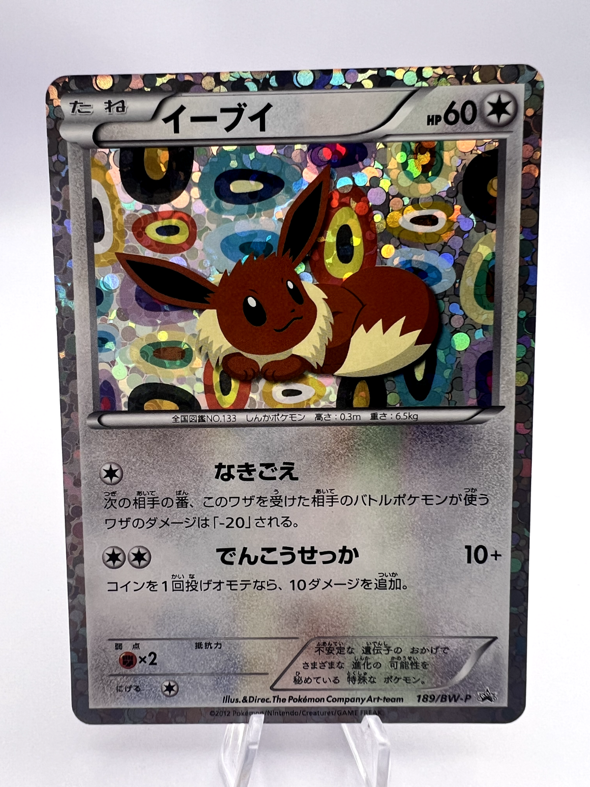 Pokemon Card Eevee 189/BW-P Eevee Collection File Promo Holo