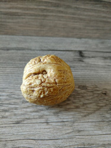 Vintage Old Stone Fruit Walnut Carved Alabaster Nut