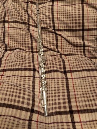 Gemeinhardt 2sp flute with case