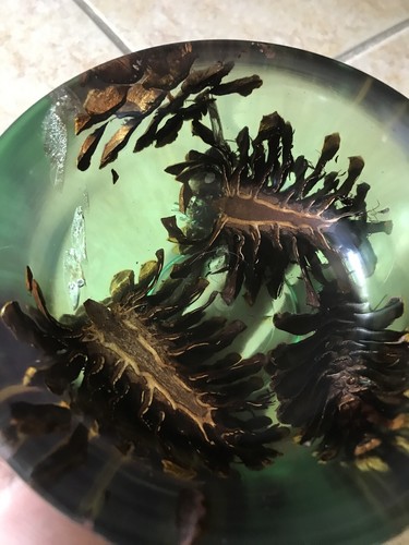 Pine Comb Resin Bowl