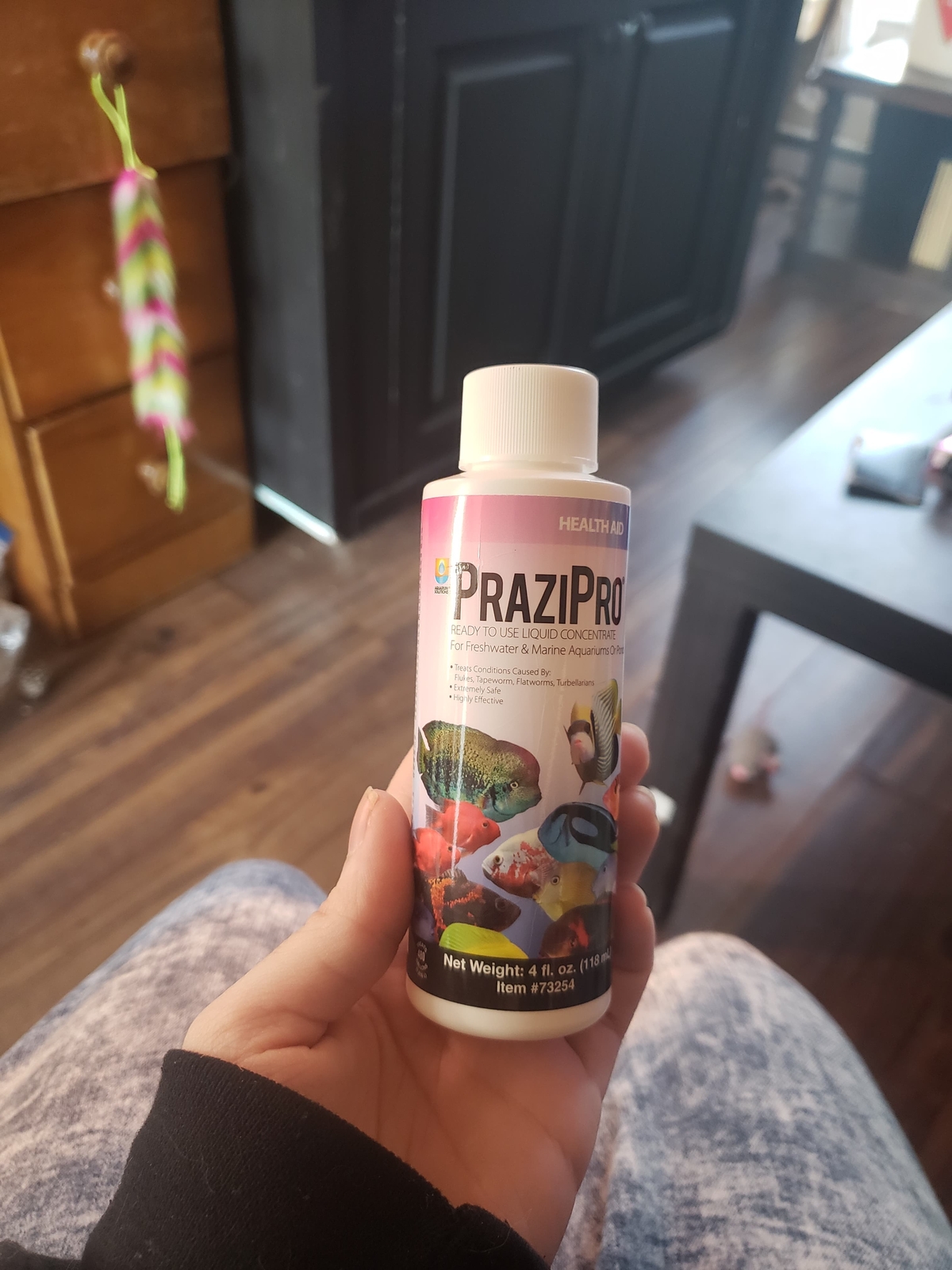 海外 即決 Hikari Usa AHK73254 Prazipro Health Care for Fish Aquarium 4-Ounce - FREE SHIP : Hikari USA Inc. Prazipro - Safest Parasite Treatment