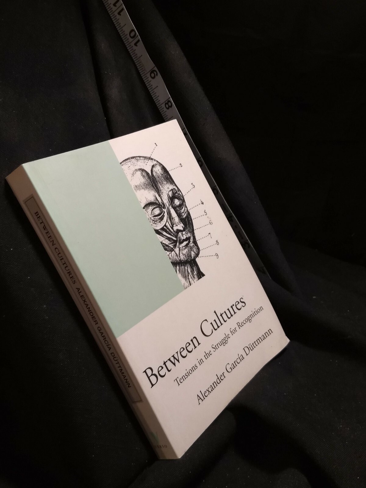 Between Cultures : Tension in the Struggle for Recognition by Alexander Garcia