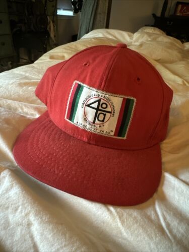 Spike Lee 40 Acres And A Mule Filmworks Snapback Hat Cap Spike Lee 40 Acres And A Mule Filmworks Snapback Hat Cap