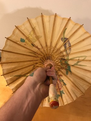Vintage Chinese China Hand-Painted Paper Bamboo Umbrella #2 birds flowers 15