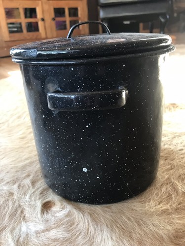 Vintage Blue Speckle Graniteware 8 Quart Stock Pot with Lid