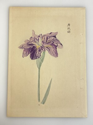 Japanese Iris Woodblock Print Hand Colored 1921 Manabu Miyoshi Botanical Antique