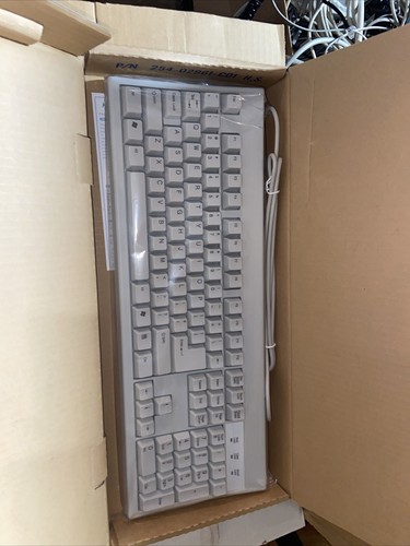 Vintage Chicony KB 2961 Clicky Keys Keyboard Typing White Office Pc Computer