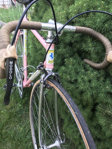 Paletti Vintage Road Bike Campognolo Groupo